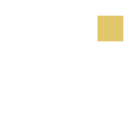 CoinCult logo