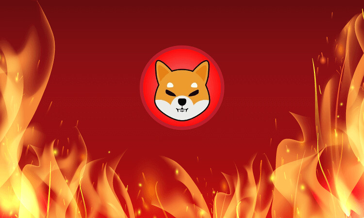 What Is SHIB Burn? Everything to Know About Shiba Inu Coin Burning