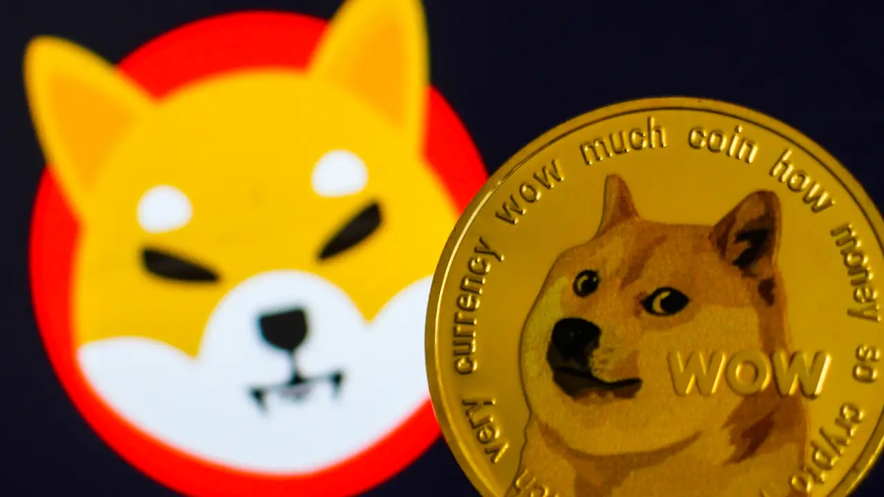Will Shiba Inu Overtake Dogecoin Price in February 2024?