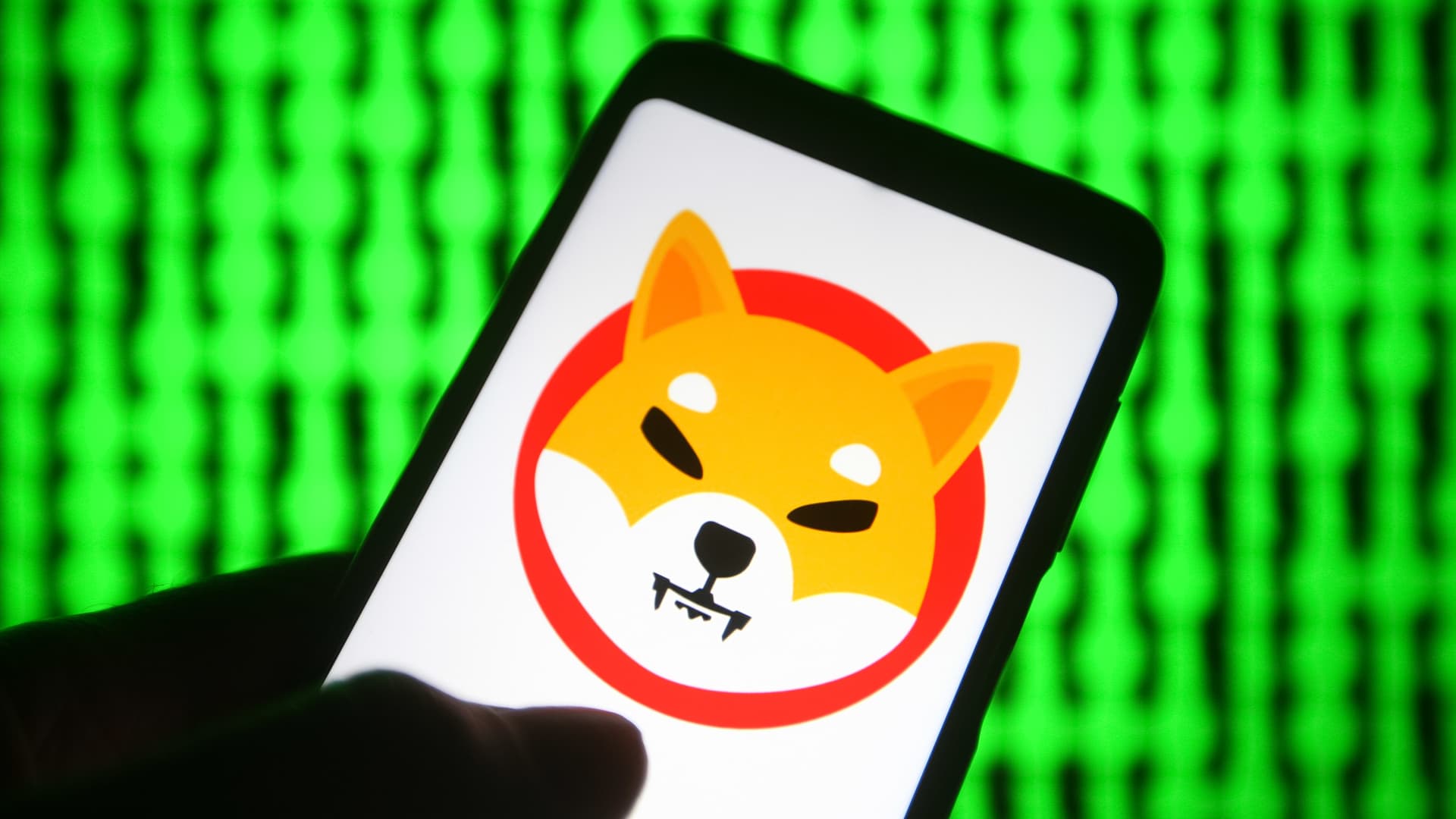 Shiba Inu Community Alert: Shibariumscan Bug, Price Surge, and a Mysterious Whale Investor