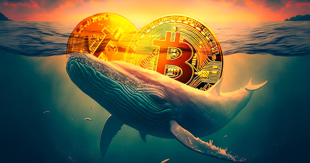 Bitcoin Whale Moves Over $6B Worth of BTC To Three New Addresses
