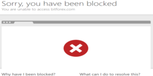 BitForex Block