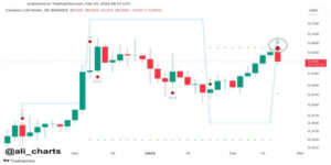 Cardano chart by ali