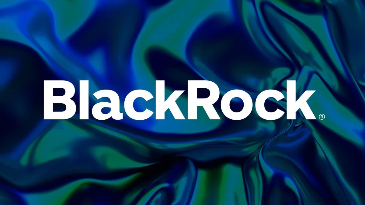 BlackRock Deposits $100M USDC, Gains Memecoins & NFTs