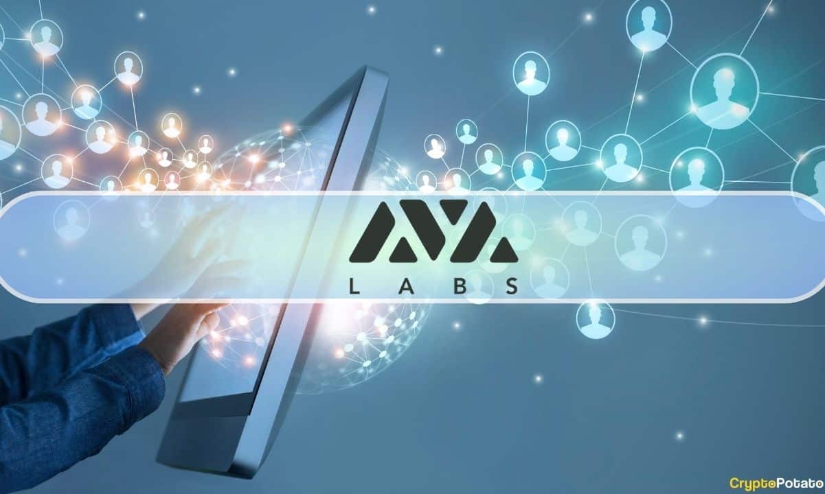 Ava Labs CEO Exposes Warning Signs for Investments in Crypto Space