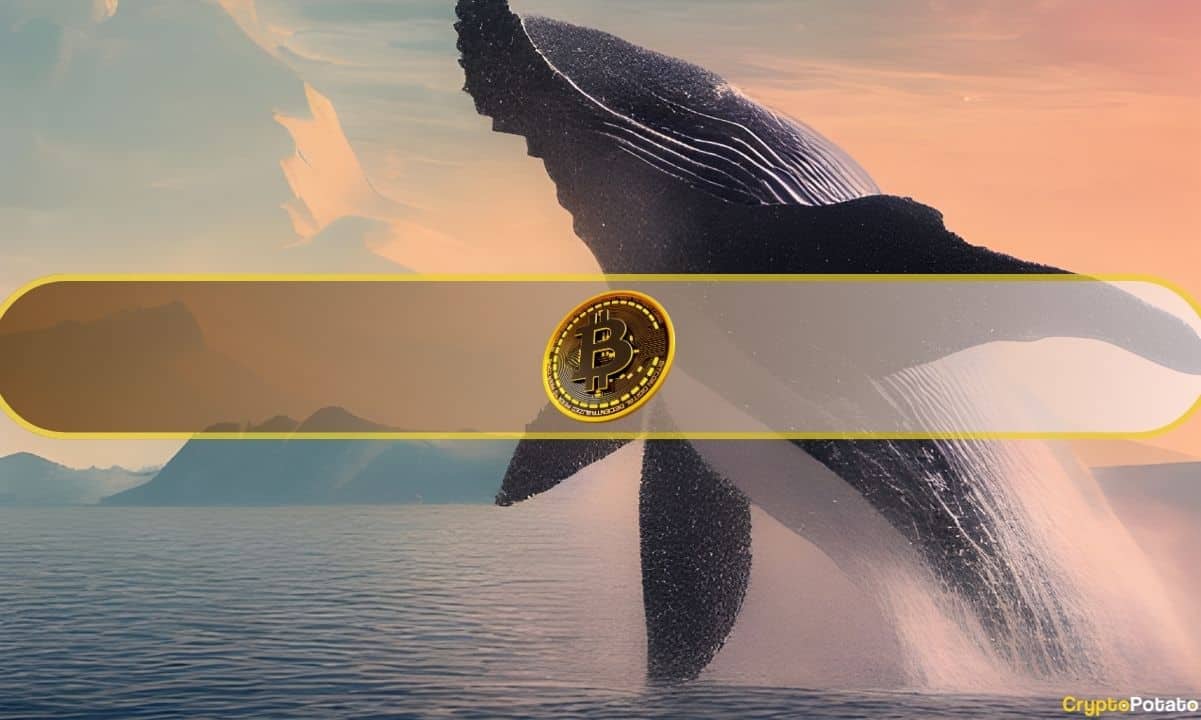 A Bitcoin Whale Moves Millions After 10-Year Slumber